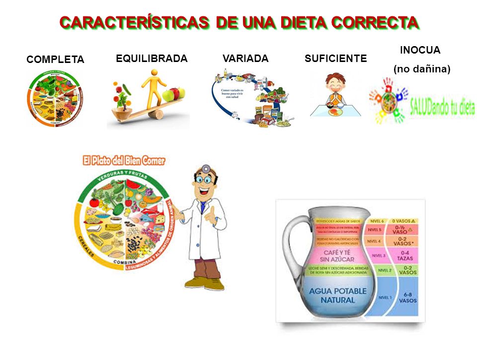Dieta correcta